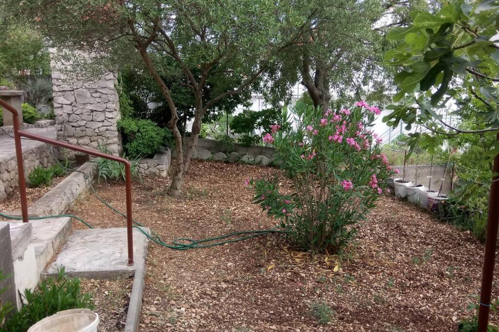 Ferienhaus Am Wasser - Kuca Rio - Iberische Finca In Dalmatien Bilice Exterior foto